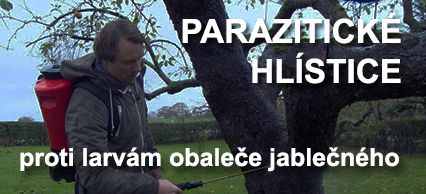 Předjarní ošetření proti larvám obalečů